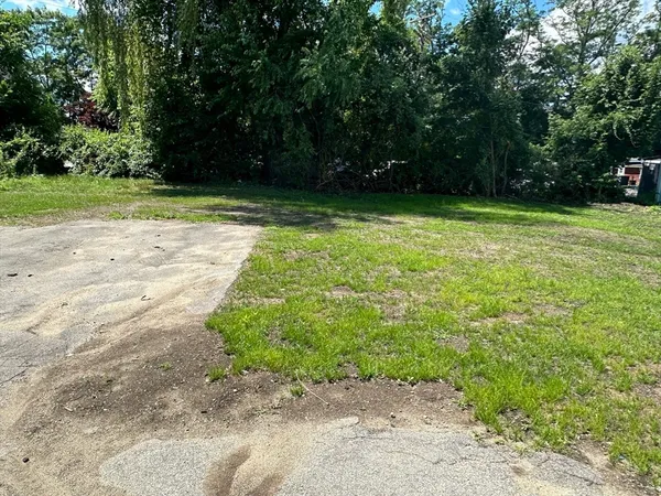 a view of a trees with a yard
