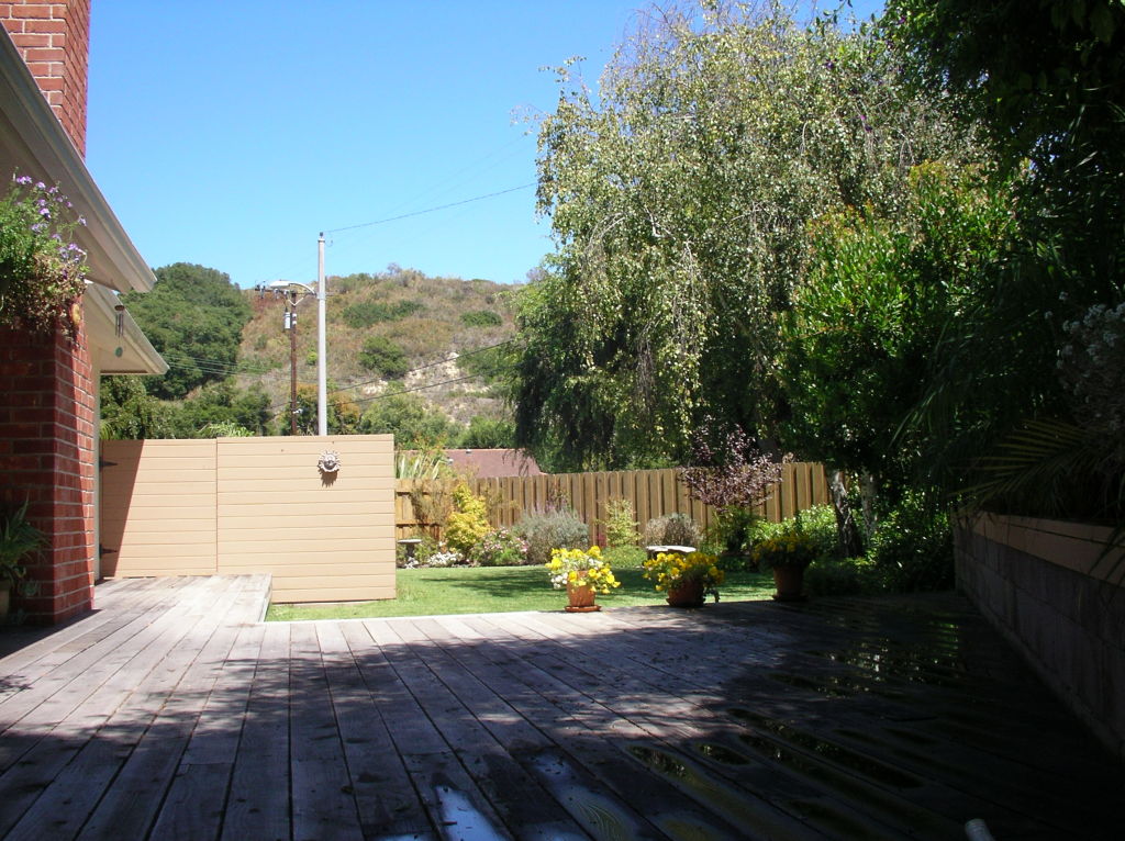 Back Yard