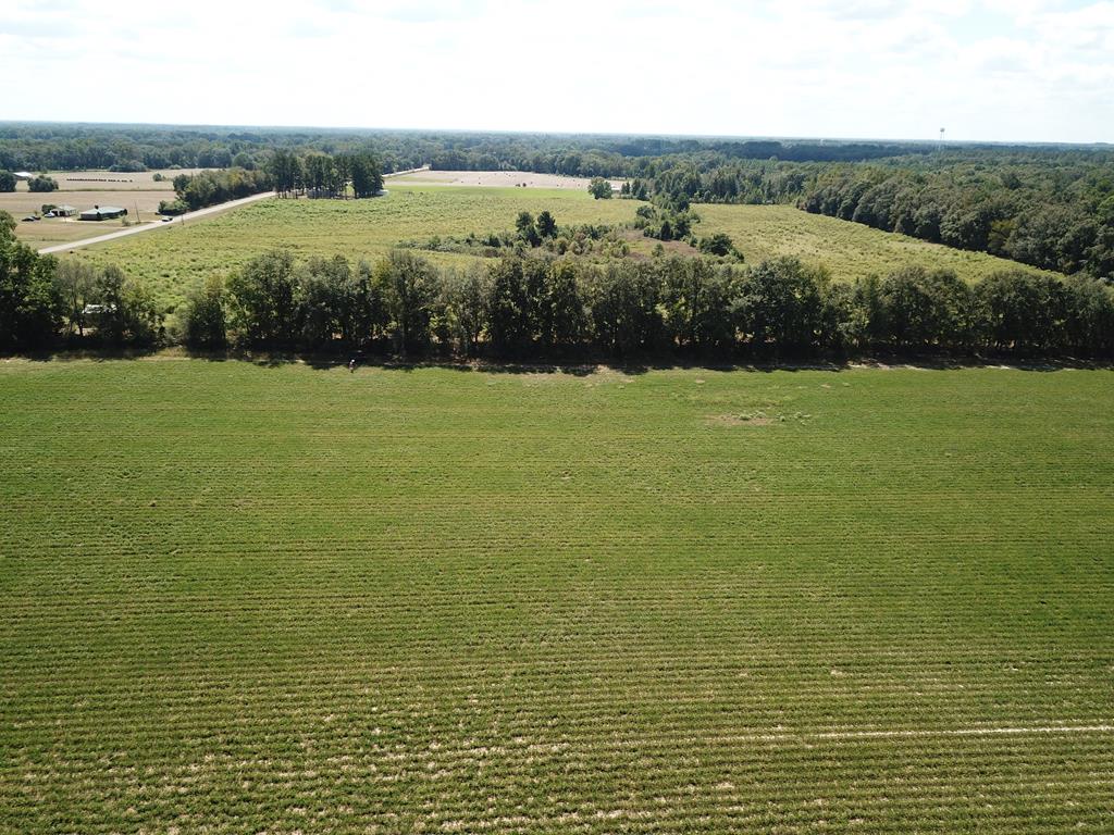 5.8-acres Nobles Road Cottonwood, AL 36320 - Photo 12 of 29