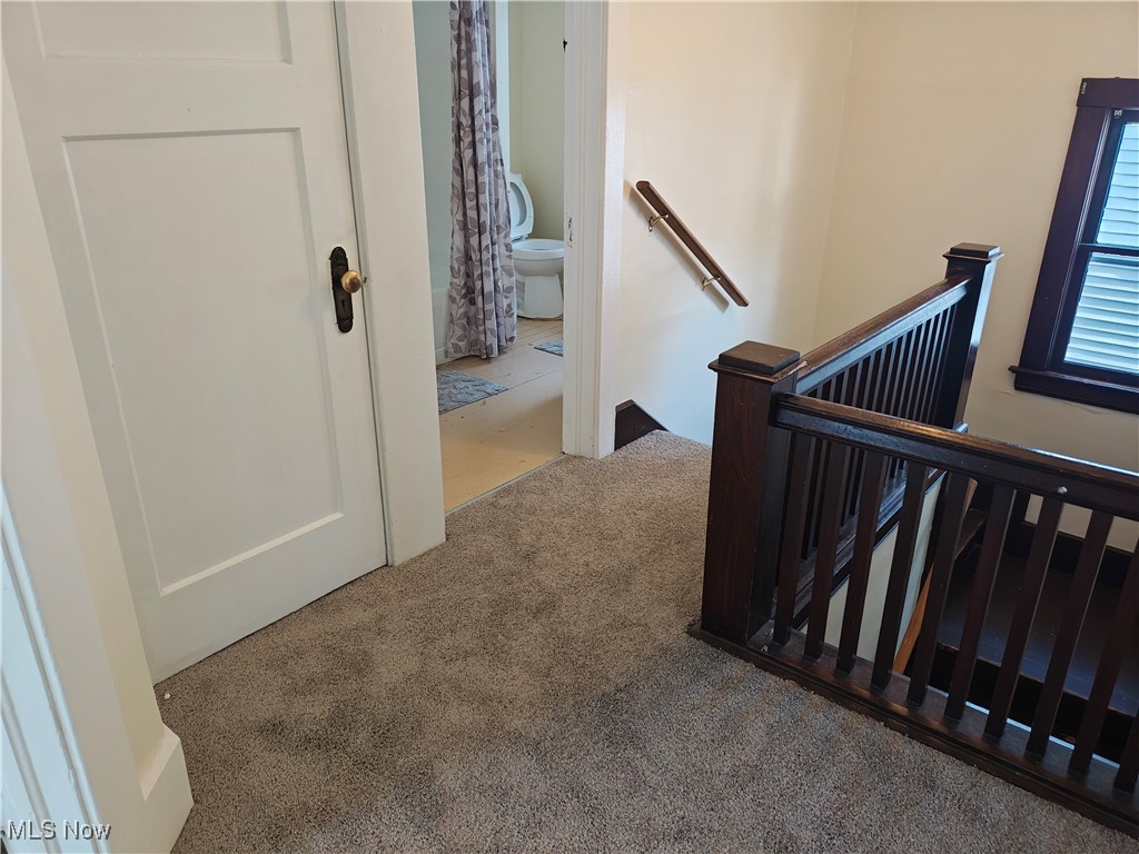 5213 Reed Avenue Ashtabula, OH 44004 - Photo 20 of 35 Stairway featuring carpet floors