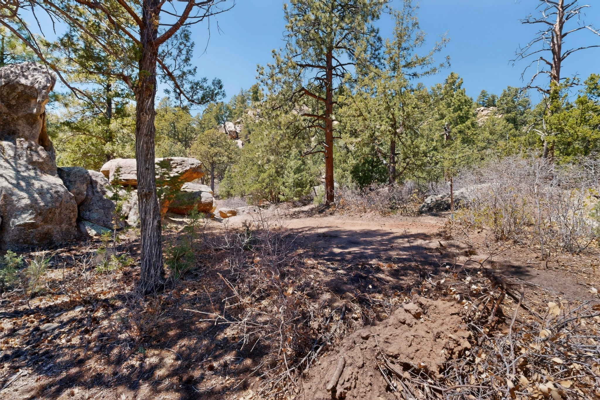 30 Monte La Cueva Road Glorieta, NM 87535 - Photo 90 of 91