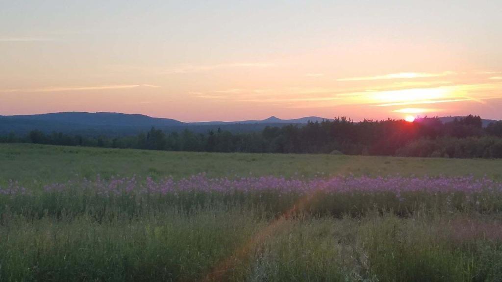 1615 Chapman Road Mapleton, ME 04757 - Photo 18 of 19 Photo