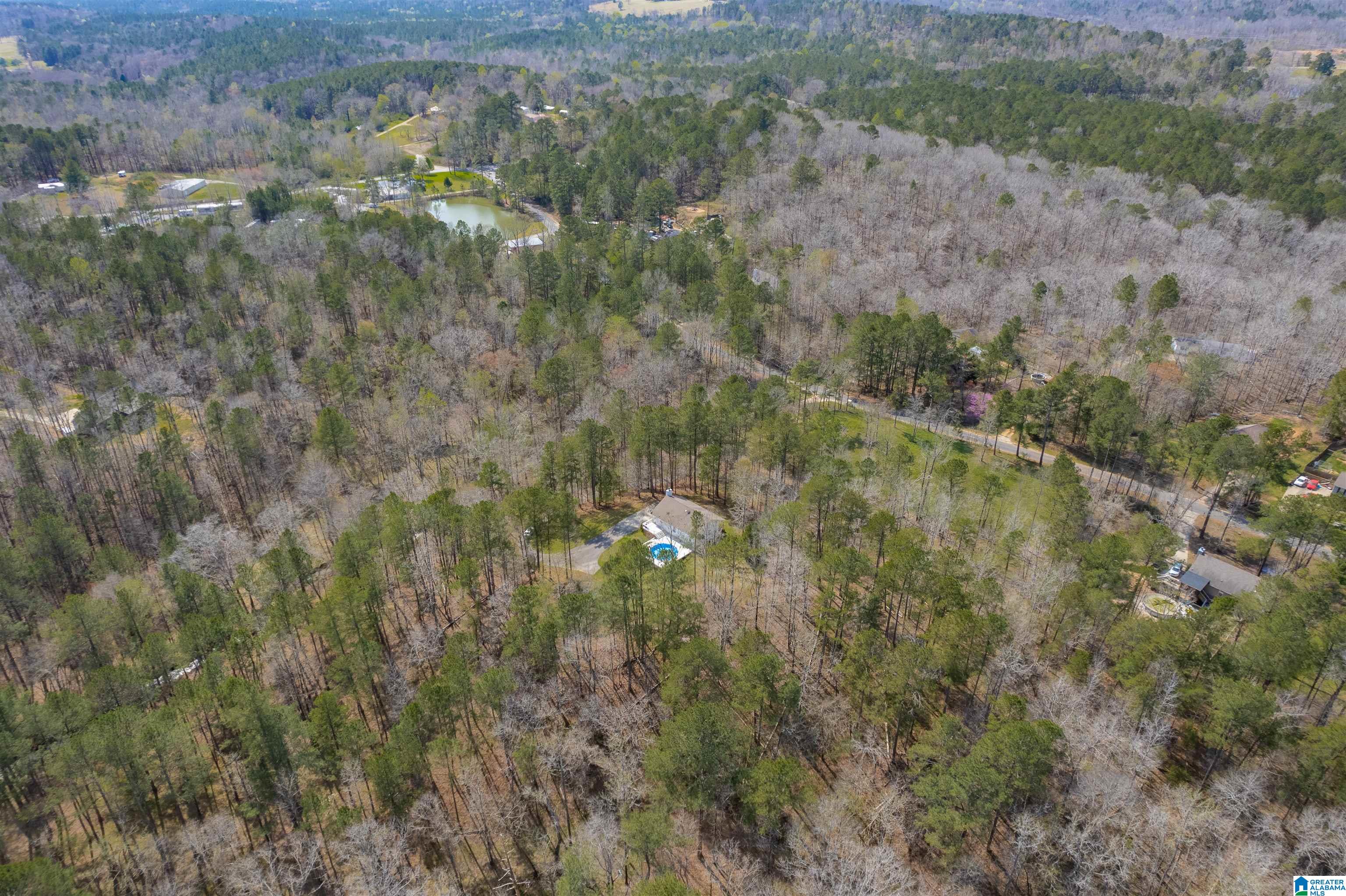 184 Sequoyah Road Pell City, AL 35128 - Photo 35 of 46