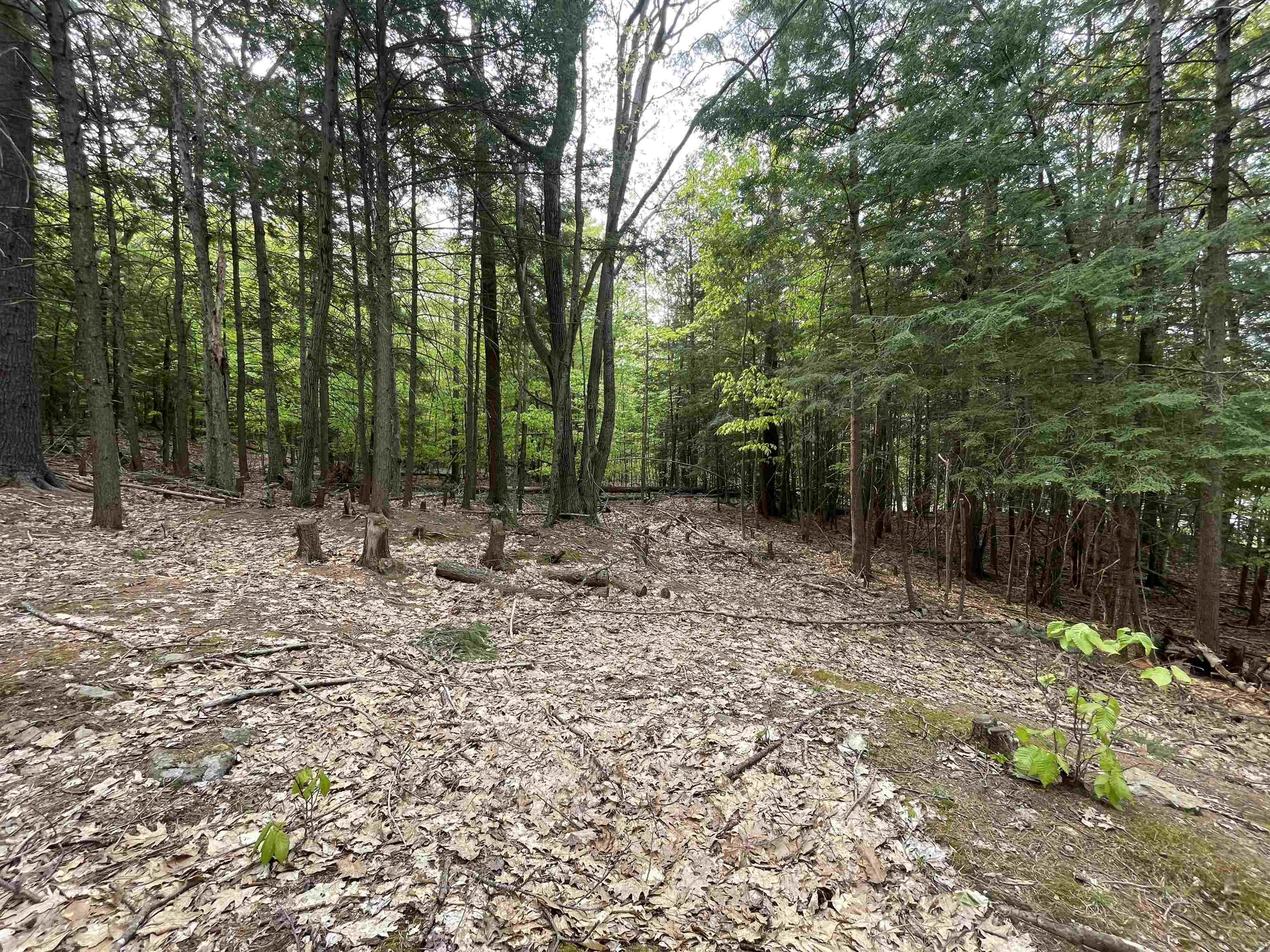 49 Durrell Mountain Road Belmont, NH 03220 - Photo 8 of 14