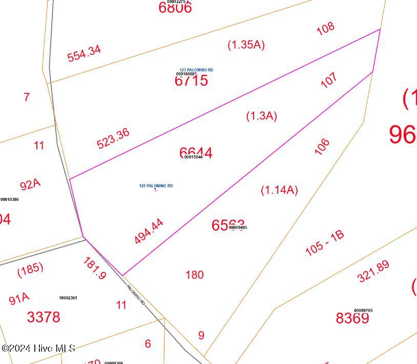 125 Palomino Road Carthage, NC 28327 - Photo 2 of 3 125 Palomino Road Road Map