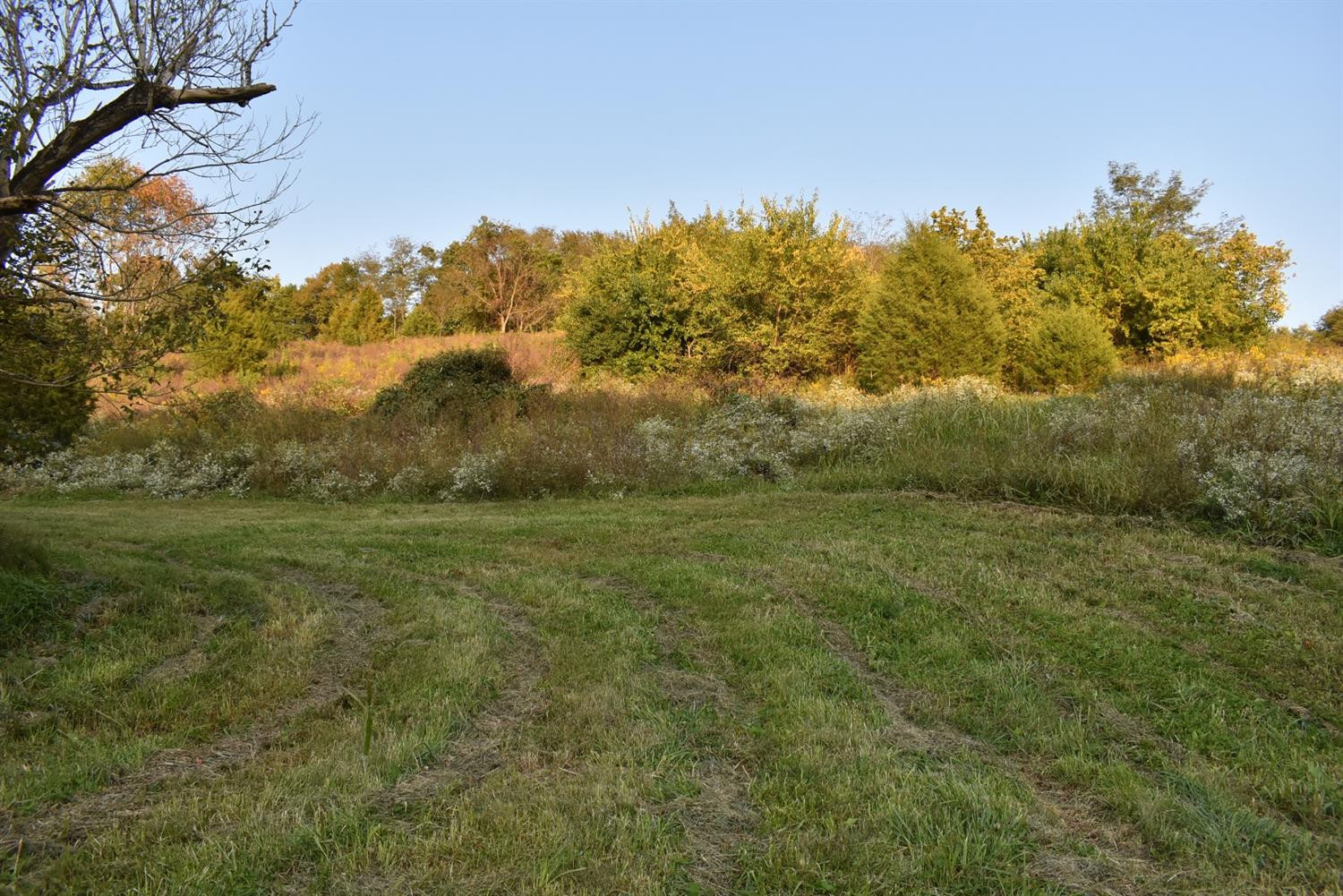 6414 Irvine Road Winchester, KY 40391 - Photo 7 of 7 Photo 7