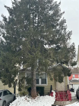 a outdoor space with lots of trees