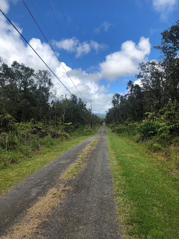 40 Uluhemalu Road Mountain View, HI 96771 - Photo 2 of 12 a view of a big yard