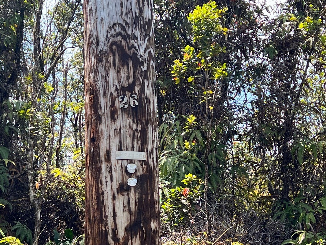 40 Uluhemalu Road Mountain View, HI 96771 - Photo 3 of 12