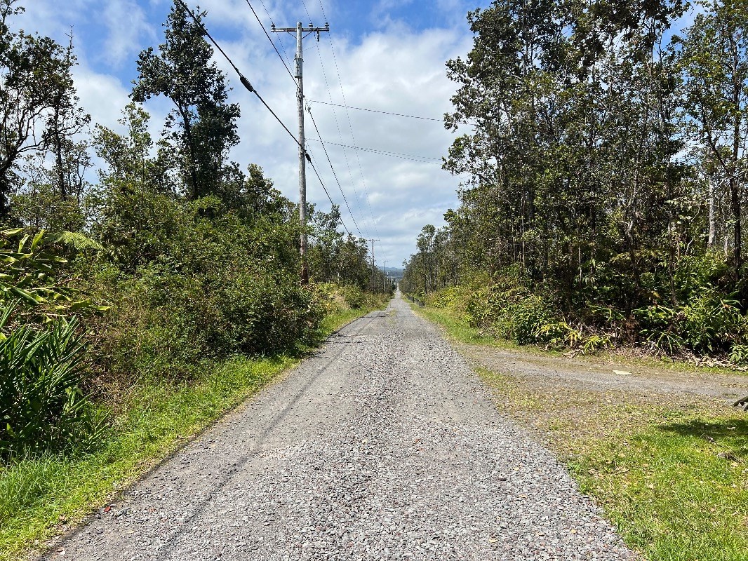 40 Uluhemalu Road Mountain View, HI 96771 - Photo 8 of 12 a view of a pathway both side of yard