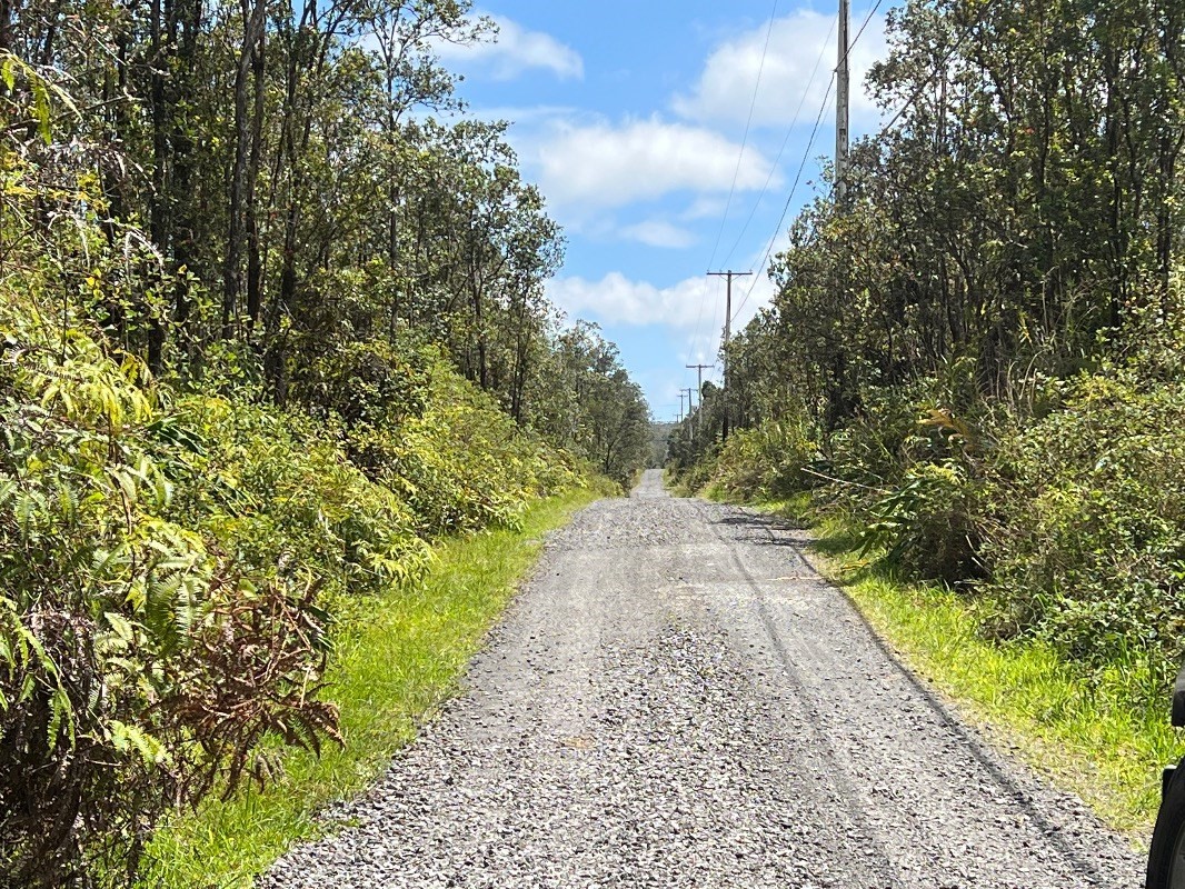 40 Uluhemalu Road Mountain View, HI 96771 - Photo 9 of 12 a view of a pathway both side of yard