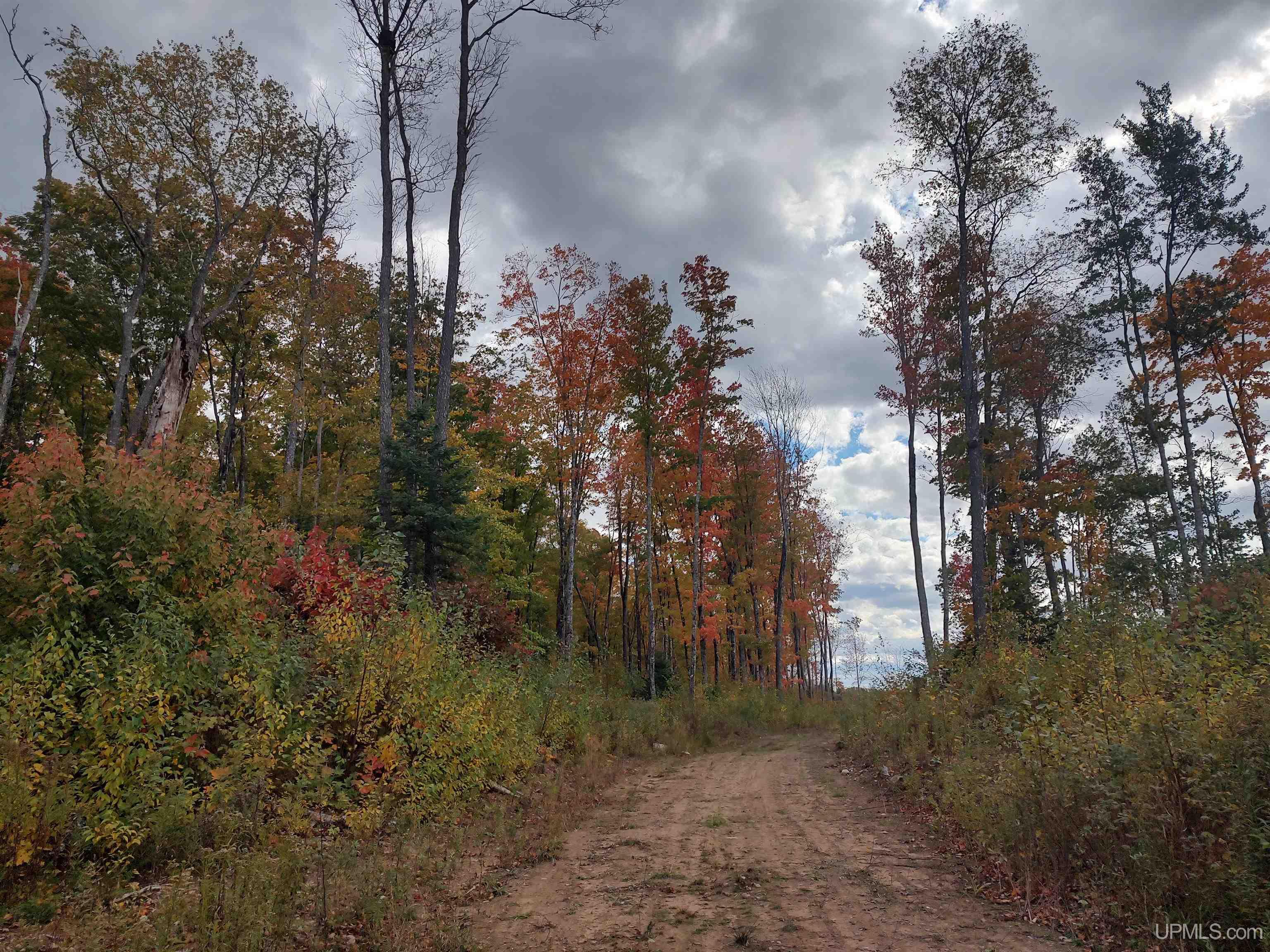 327 Rd Rumely Mi 49826 Road Skandia, MI 49885 - Photo 11 of 23
