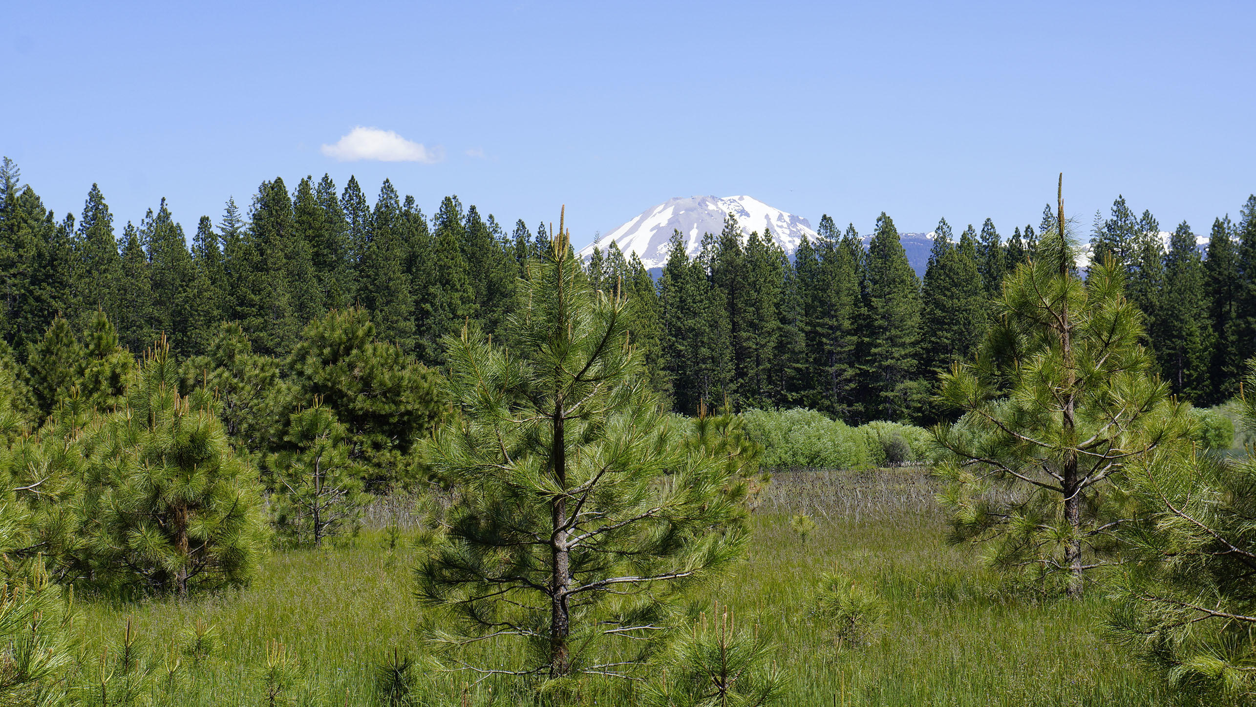 9441 Thatcher Mill Road Shingletown, CA 96088 - Photo 3 of 34 Views of Mount Lassen