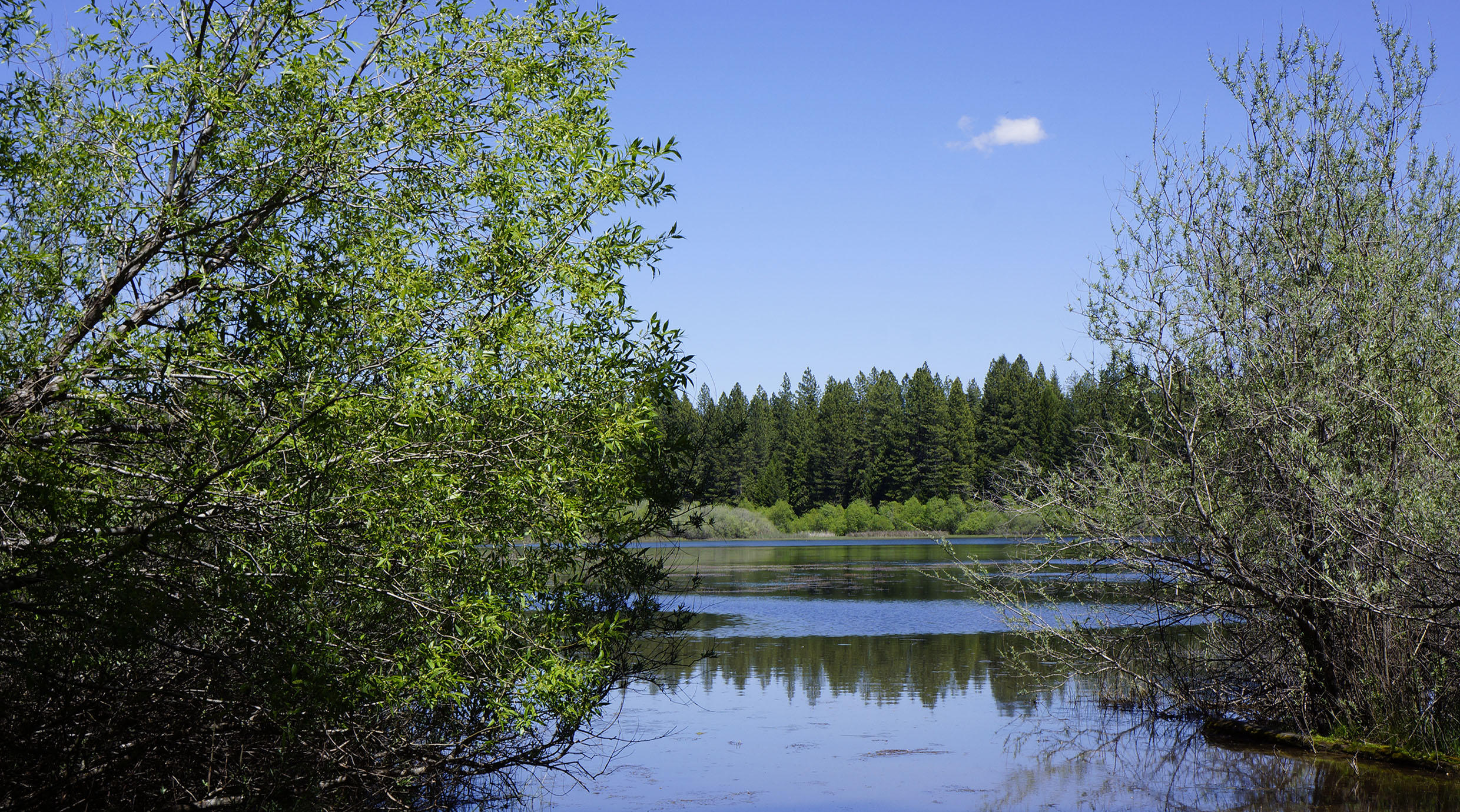 9441 Thatcher Mill Road Shingletown, CA 96088 - Photo 4 of 34 Lake McCumber 3 Minutes Away