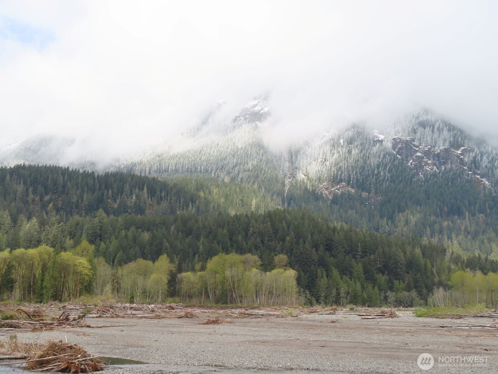 0 Cedar Grove Road Randle, WA 98377 - Photo 11 of 30