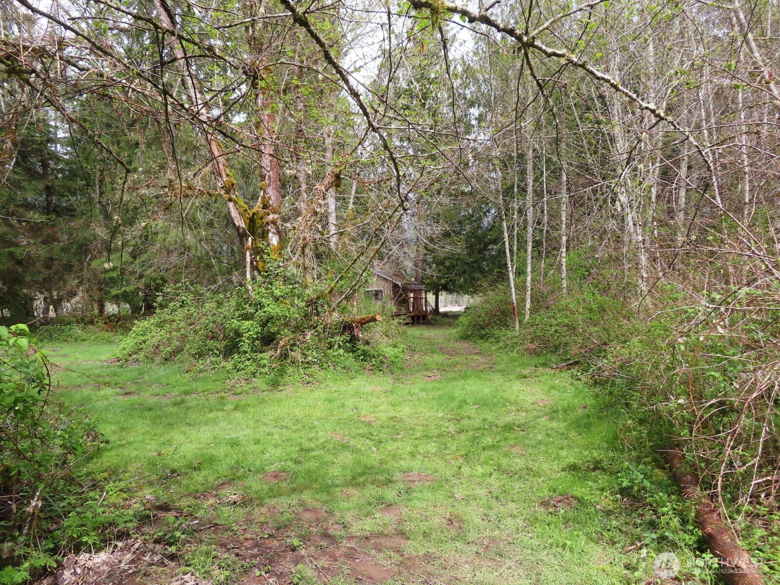 0 Cedar Grove Road Randle, WA 98377 - Photo 12 of 30