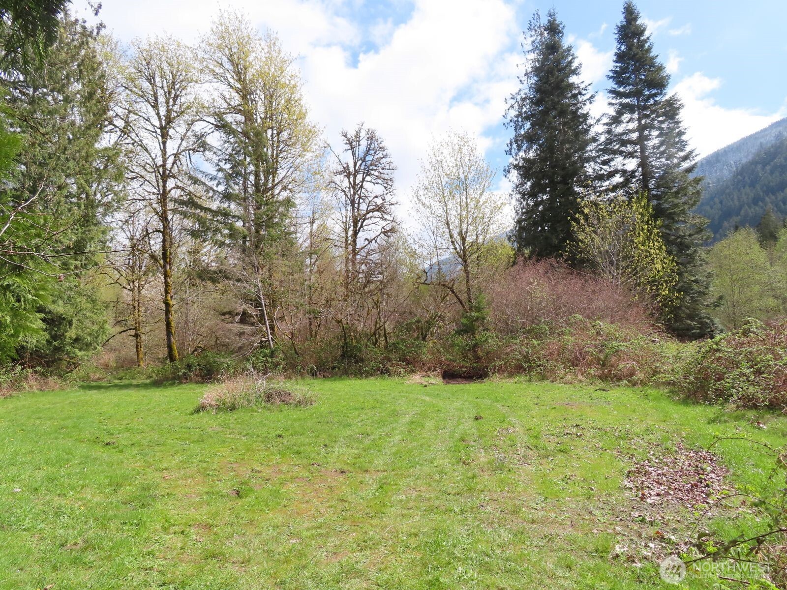 0 Cedar Grove Road Randle, WA 98377 - Photo 14 of 30
