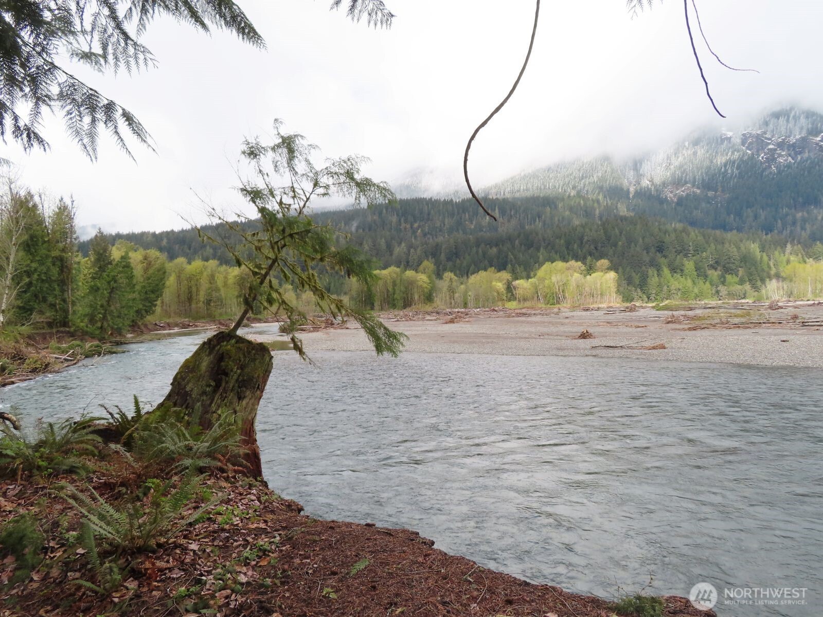 0 Cedar Grove Road Randle, WA 98377 - Photo 16 of 30