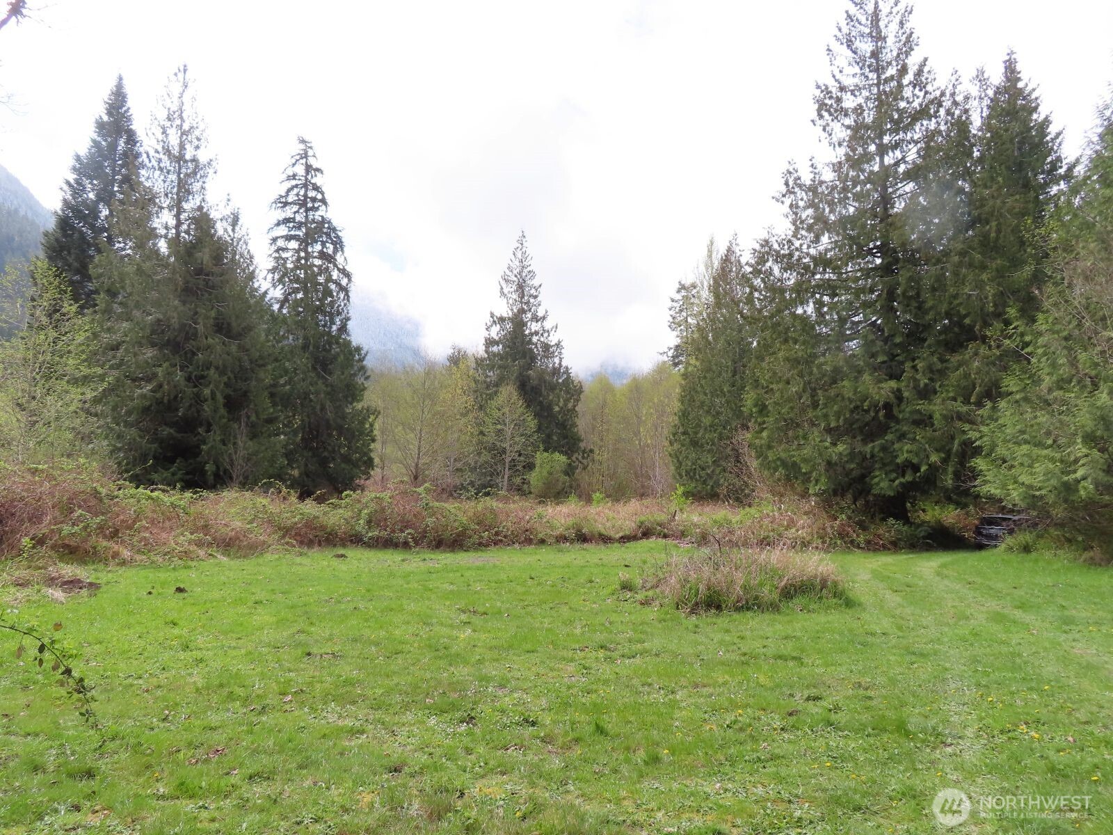 0 Cedar Grove Road Randle, WA 98377 - Photo 17 of 30
