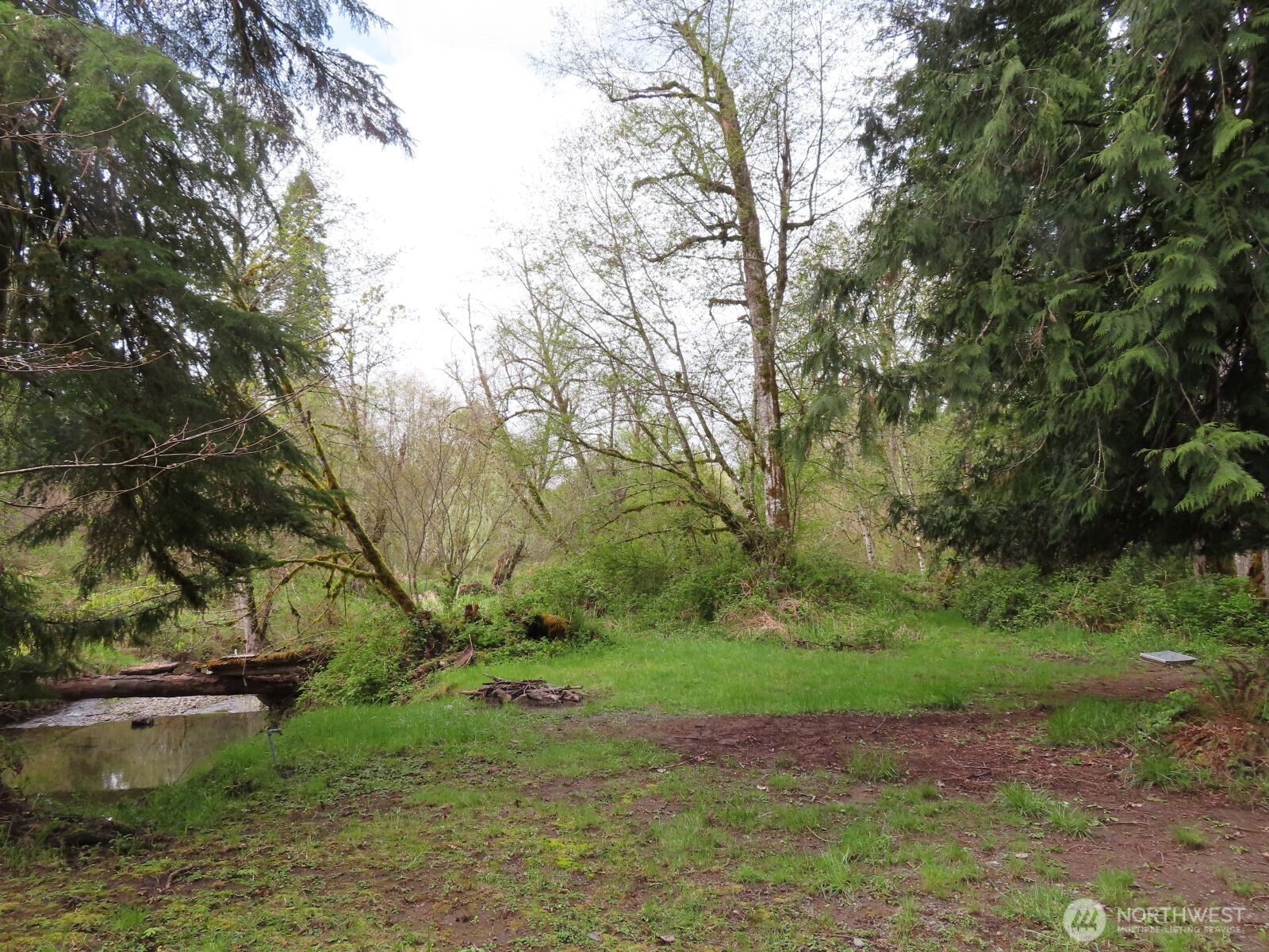 0 Cedar Grove Road Randle, WA 98377 - Photo 18 of 30