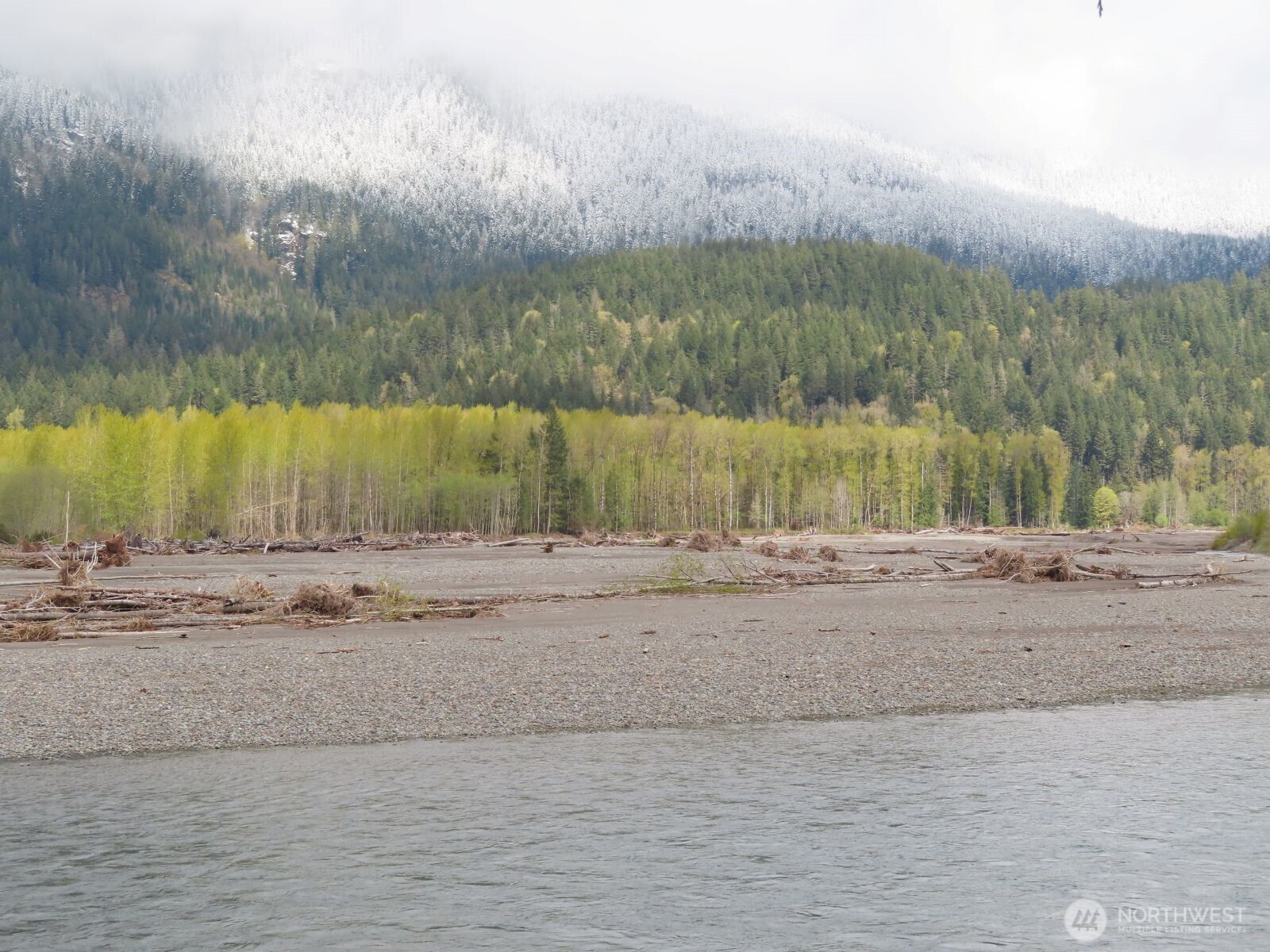 0 Cedar Grove Road Randle, WA 98377 - Photo 19 of 30