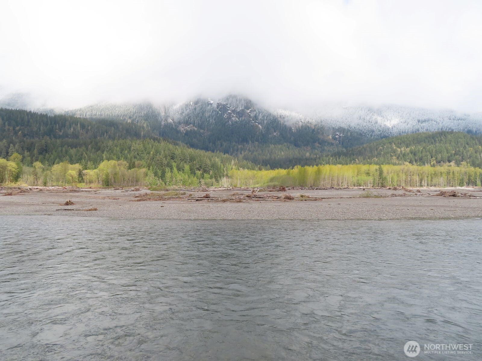 0 Cedar Grove Road Randle, WA 98377 - Photo 20 of 30