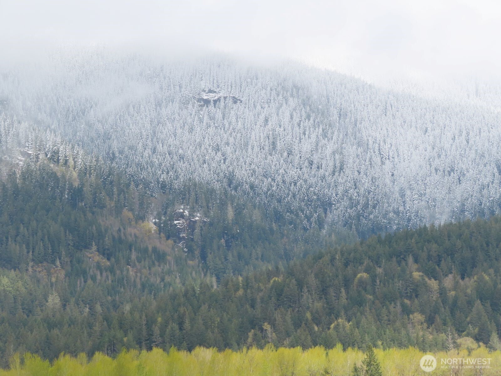 0 Cedar Grove Road Randle, WA 98377 - Photo 21 of 30