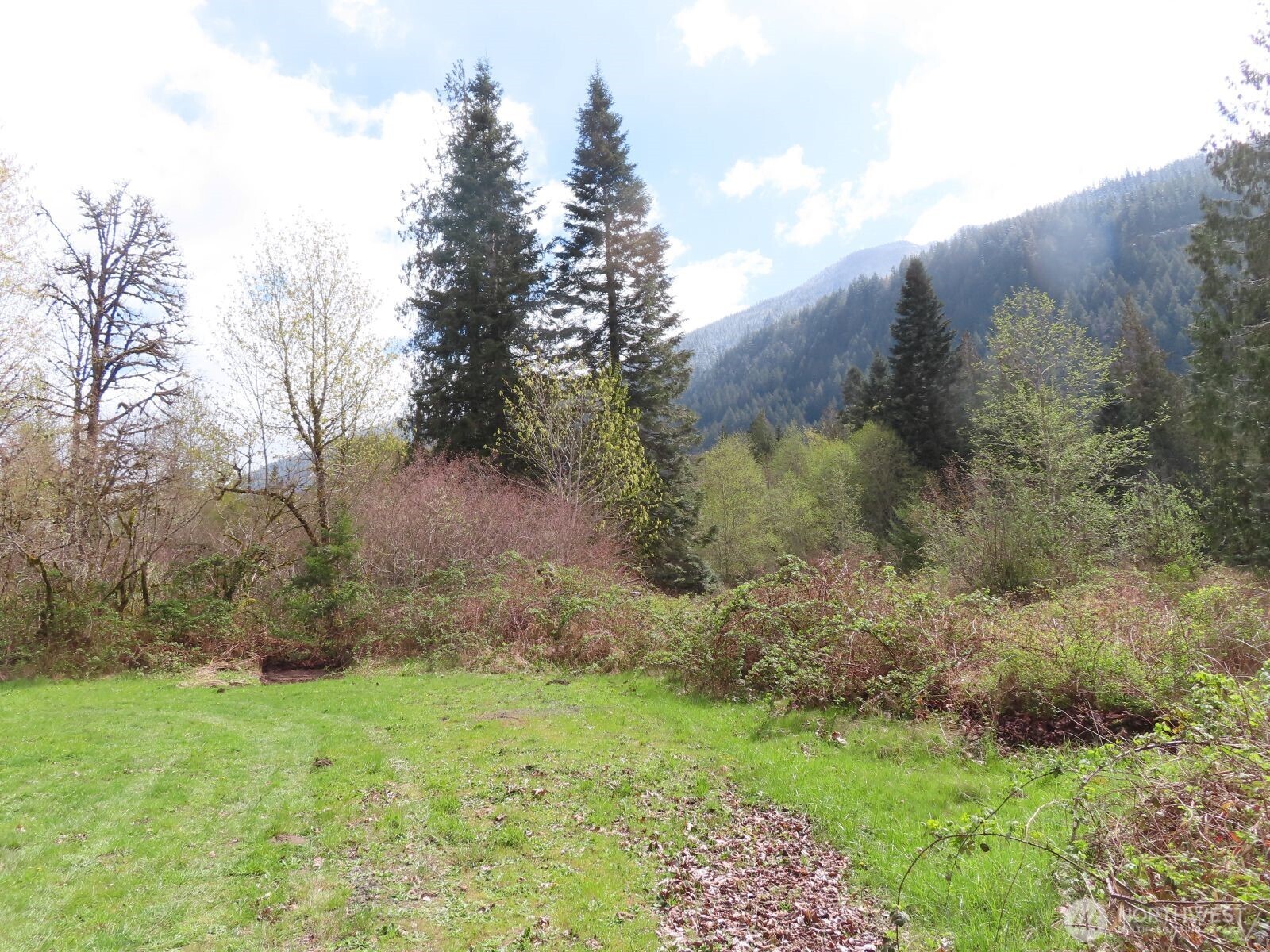 0 Cedar Grove Road Randle, WA 98377 - Photo 24 of 30