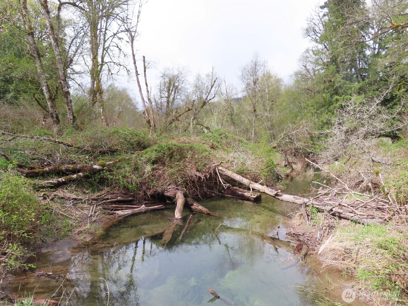 0 Cedar Grove Road Randle, WA 98377 - Photo 25 of 30