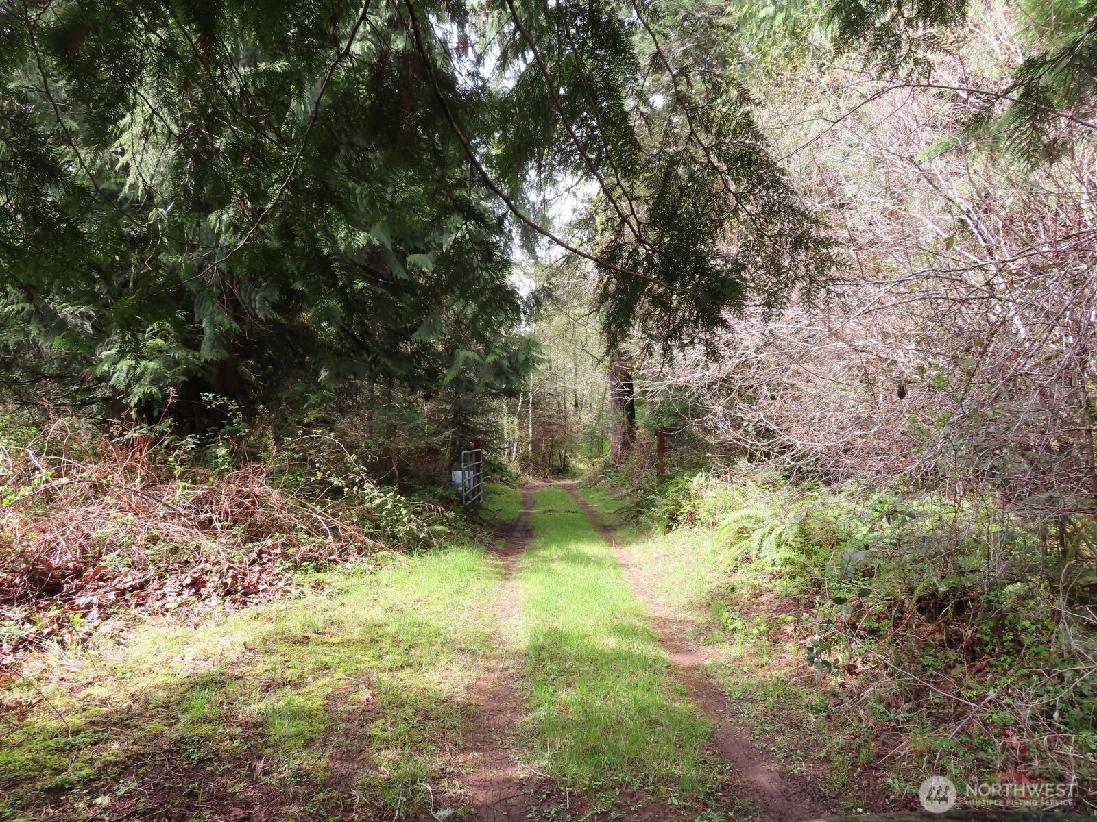 0 Cedar Grove Road Randle, WA 98377 - Photo 26 of 30