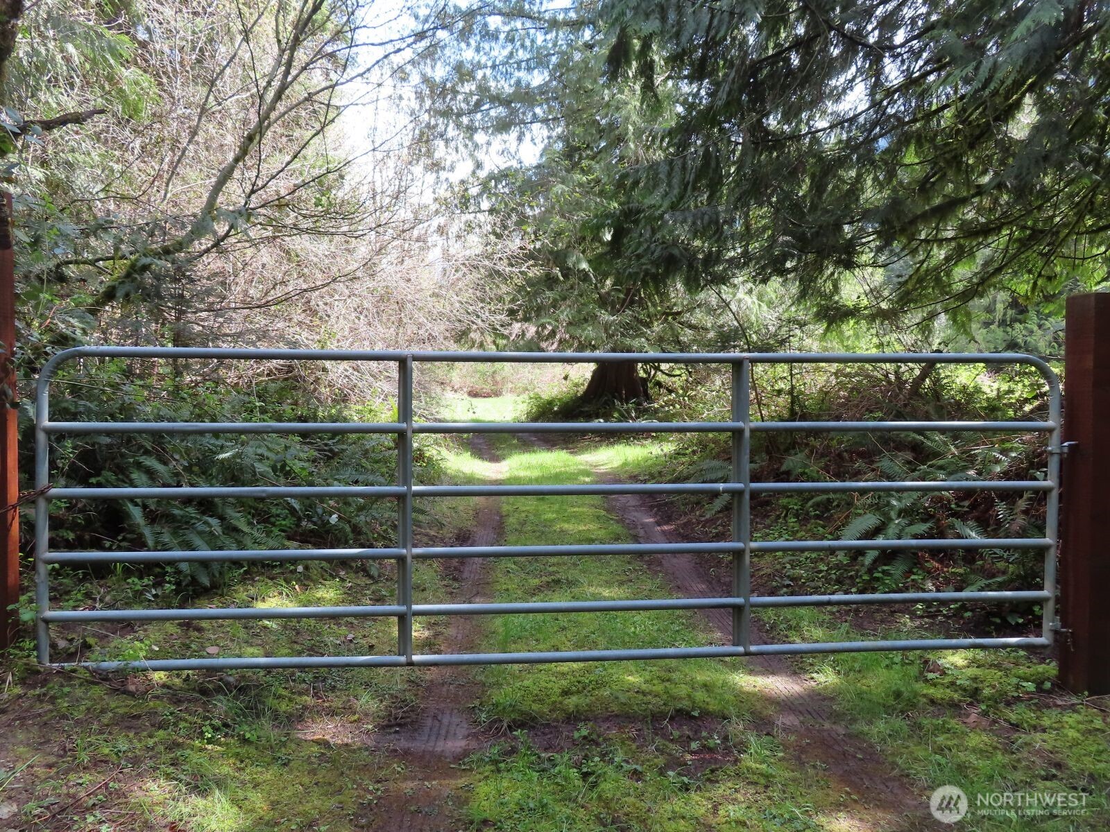 0 Cedar Grove Road Randle, WA 98377 - Photo 29 of 30