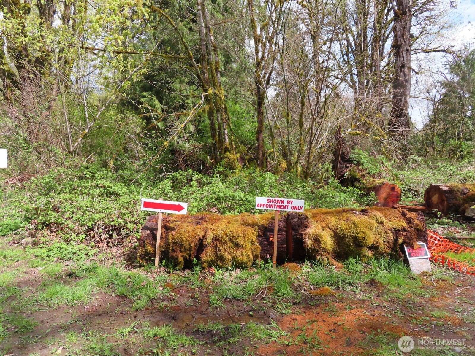0 Cedar Grove Road Randle, WA 98377 - Photo 30 of 30