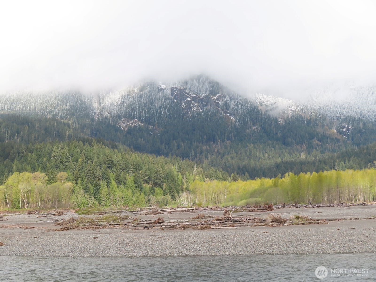 0 Cedar Grove Road Randle, WA 98377 - Photo 4 of 30