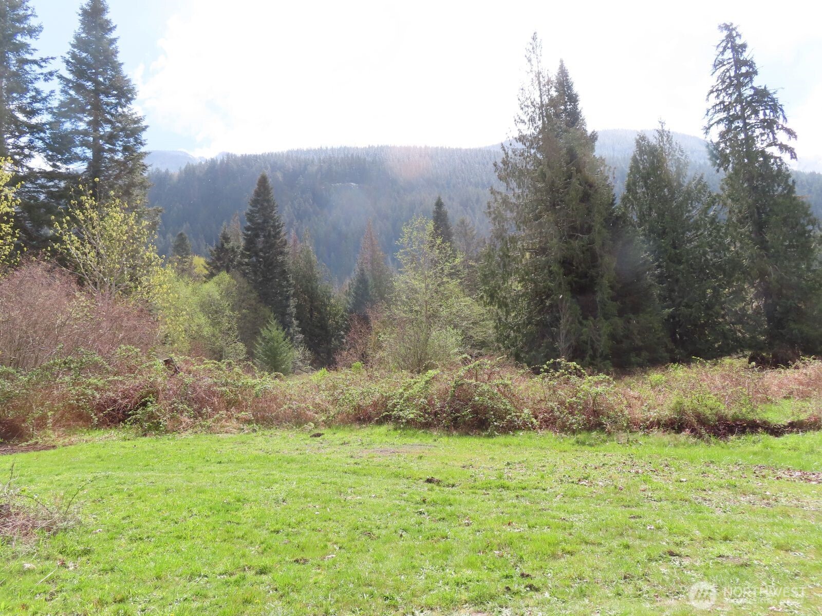 0 Cedar Grove Road Randle, WA 98377 - Photo 6 of 30