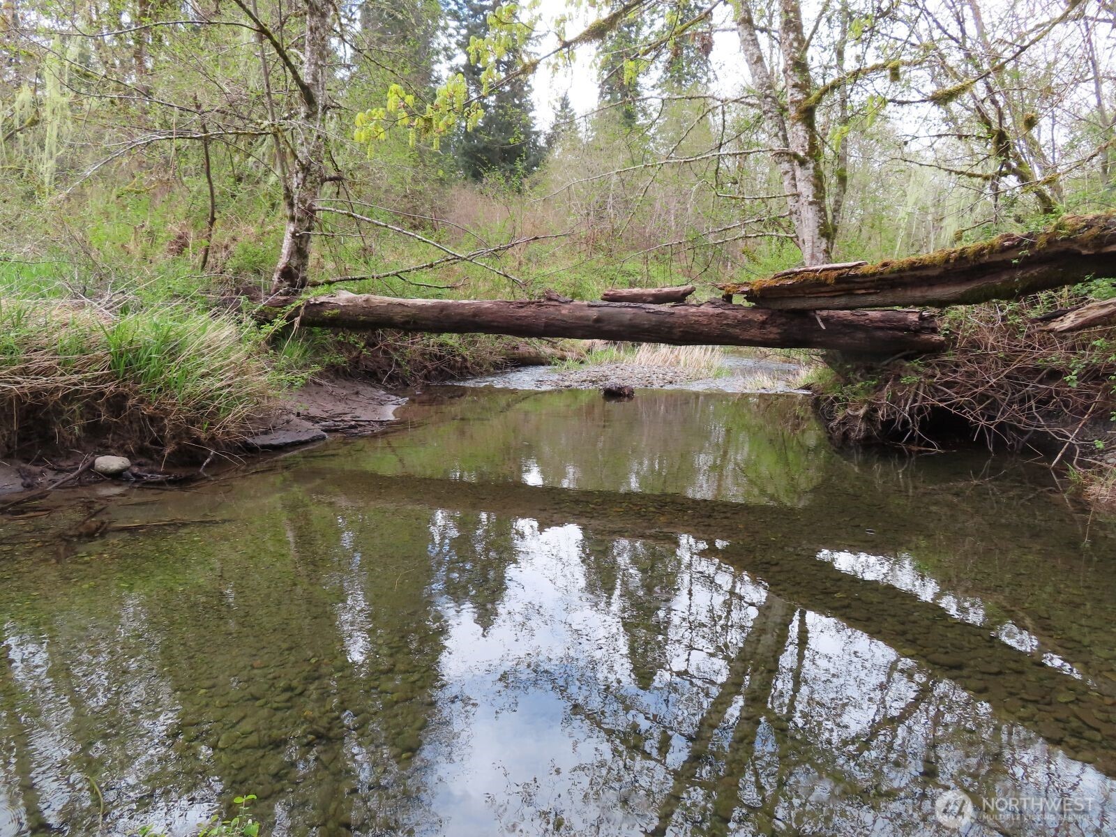 0 Cedar Grove Road Randle, WA 98377 - Photo 7 of 30
