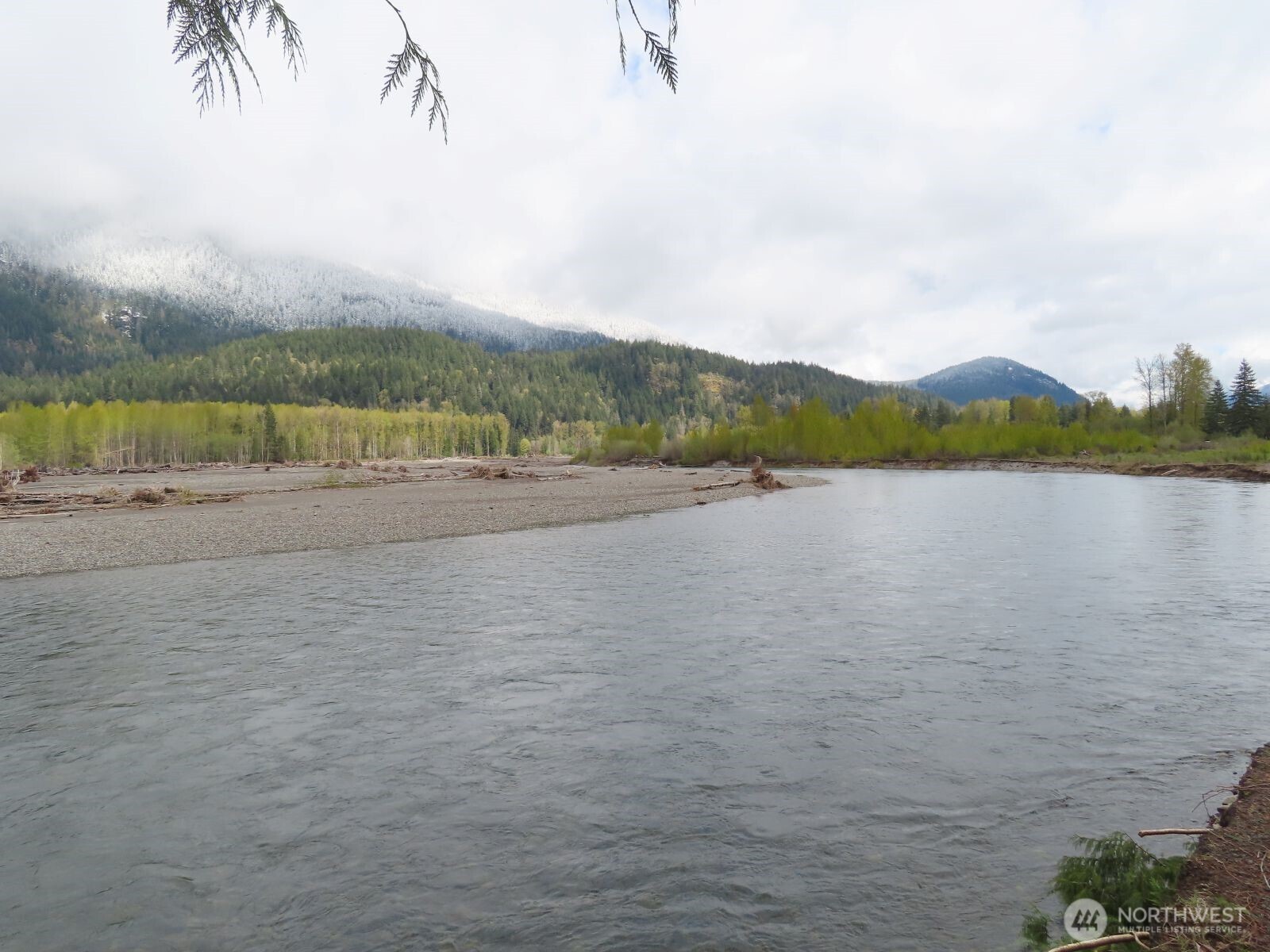 0 Cedar Grove Road Randle, WA 98377 - Photo 9 of 30