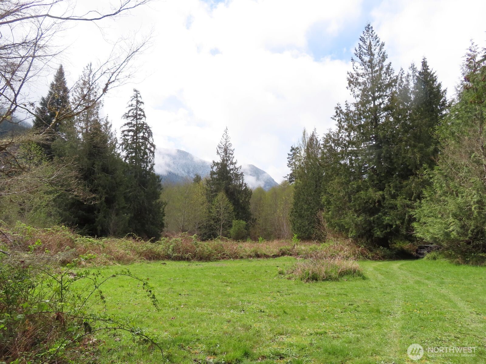 0 Cedar Grove Road Randle, WA 98377 - Photo 10 of 30