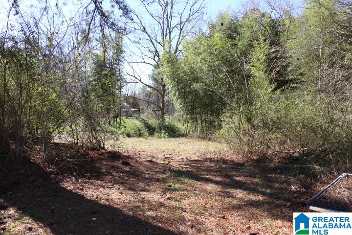 130 Ora Road Weaver, AL 36277 - Photo 22 of 30