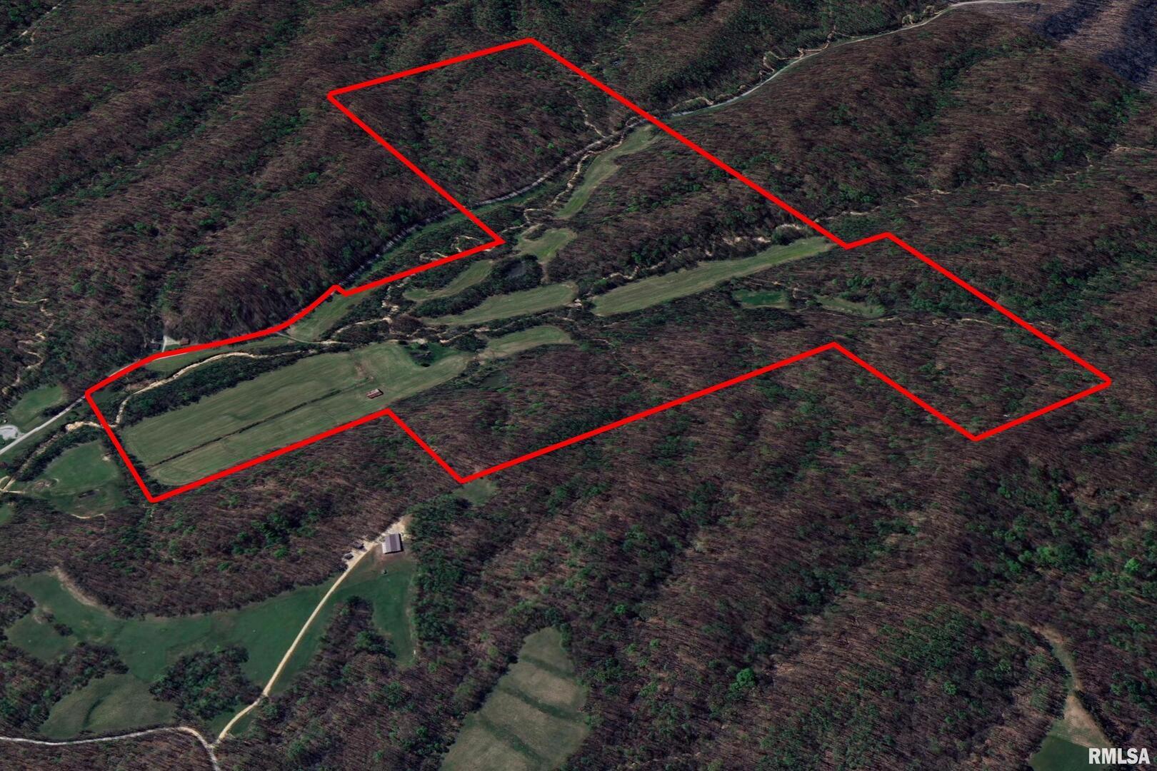 a view of a park with large trees