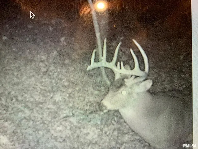 $978,000 | 19168 County Line Road, Jonesboro, IL 62952