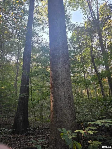 $978,000 | 19168 County Line Road, Jonesboro, IL 62952