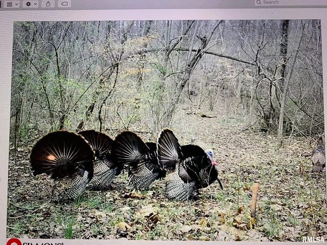 $978,000 | 19168 County Line Road, Jonesboro, IL 62952