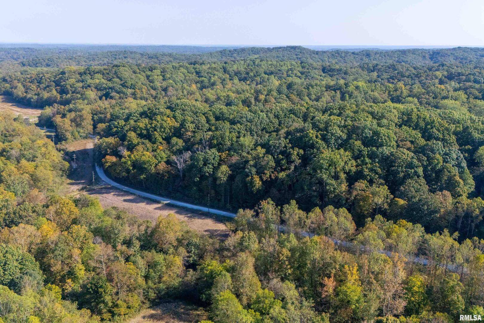 19168 County Line Road Jonesboro, IL 62952 - Photo 15 of 53