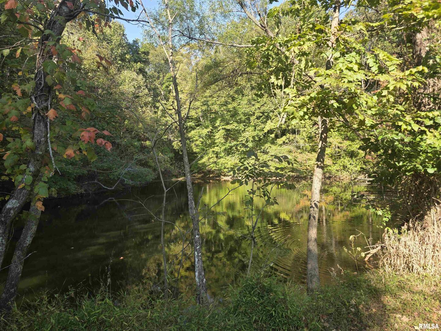 19168 County Line Road Jonesboro, IL 62952 - Photo 17 of 53