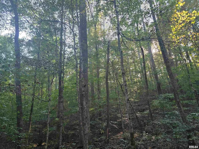 $978,000 | 19168 County Line Road, Jonesboro, IL 62952