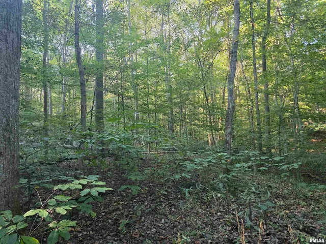 $978,000 | 19168 County Line Road, Jonesboro, IL 62952