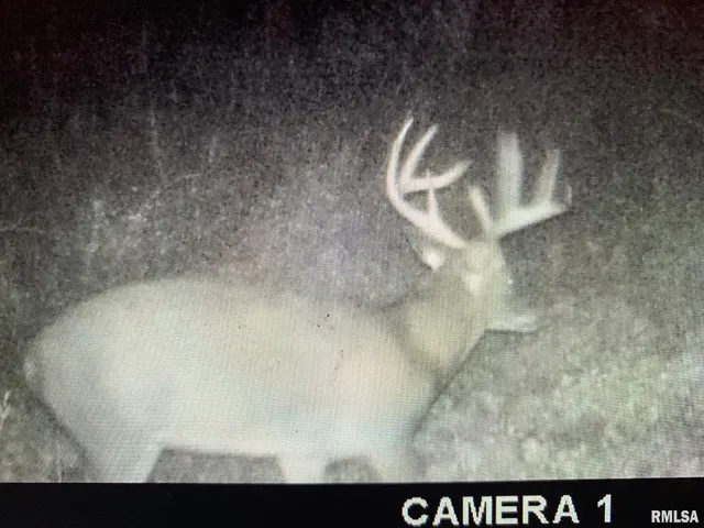 $978,000 | 19168 County Line Road, Jonesboro, IL 62952