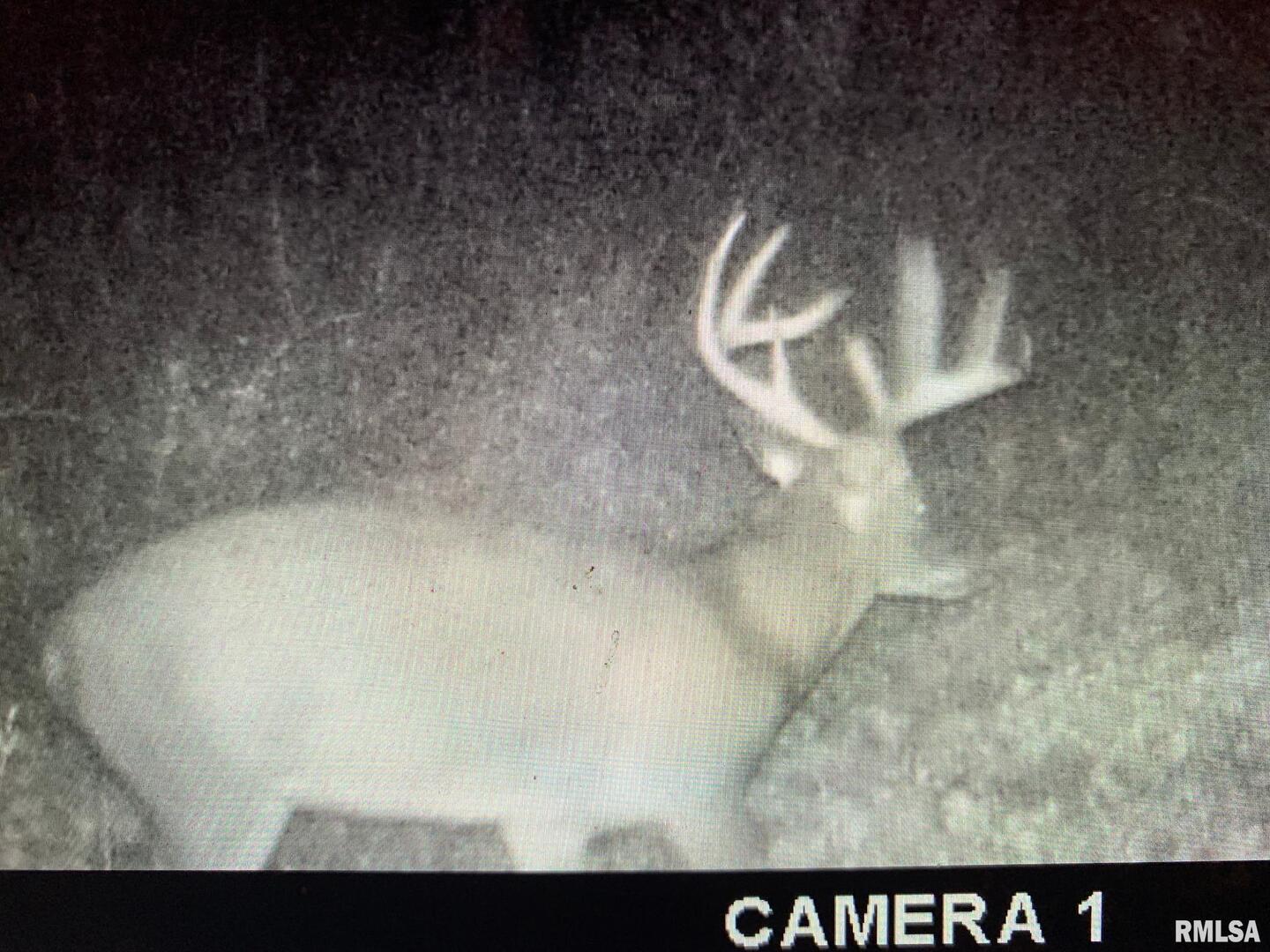 19168 County Line Road Jonesboro, IL 62952 - Photo 34 of 53