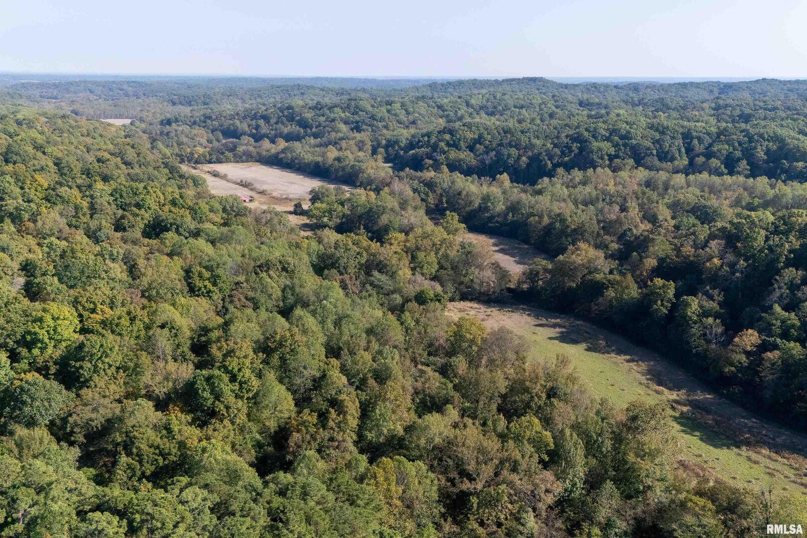 19168 County Line Road Jonesboro, IL 62952 - Photo 38 of 53