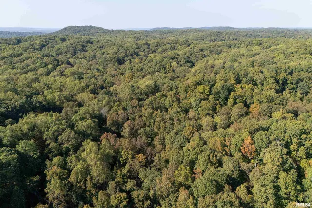 $978,000 | 19168 County Line Road, Jonesboro, IL 62952